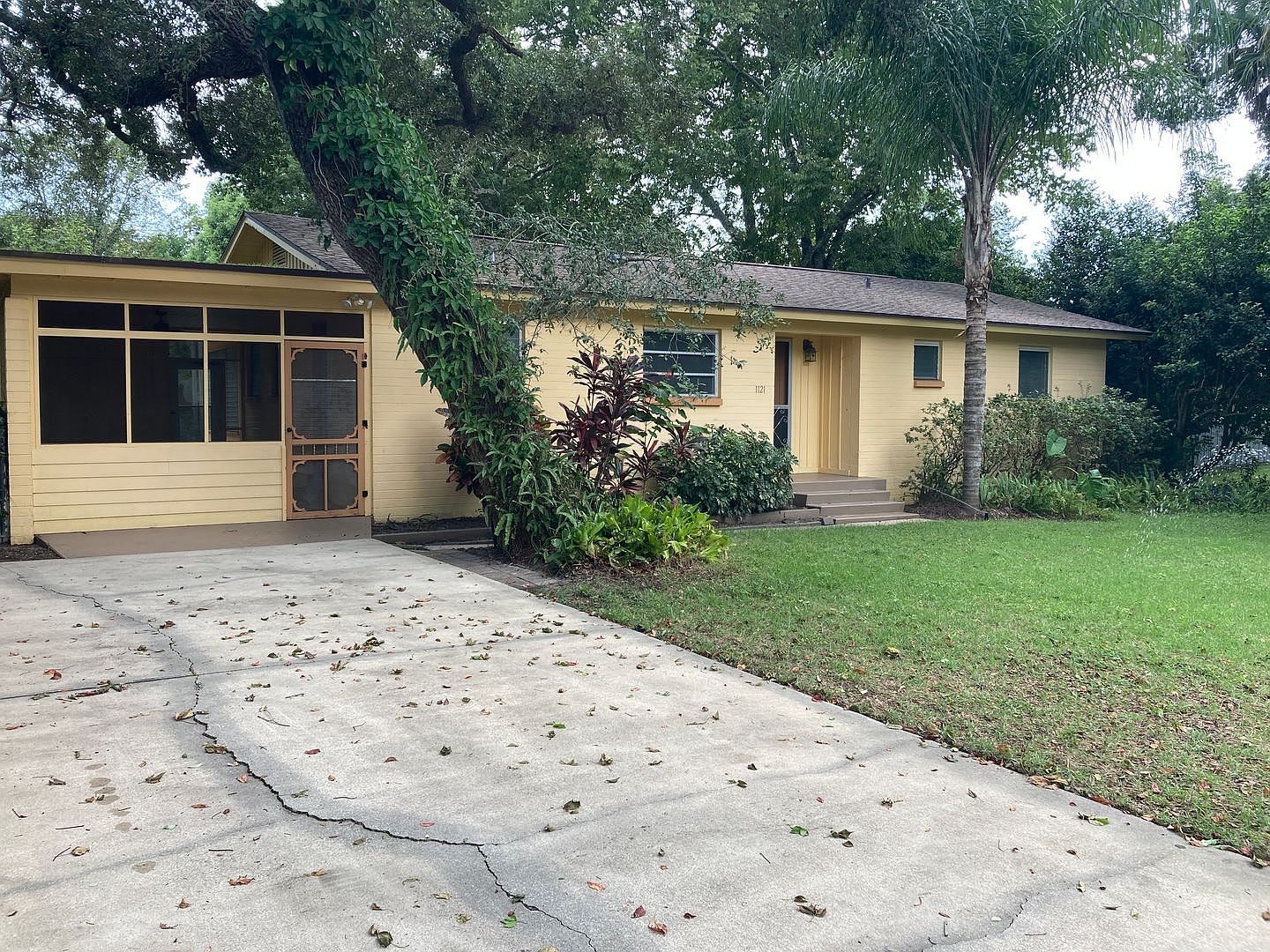 1121 Cedar St, Daytona Beach, FL 32114
